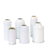 Boîte aérosol personnalisée de 200 ml et 300 ml pour médicaments