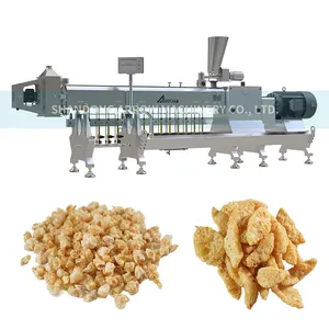 Arrow Plant Based Dry Protein Meat Extrusion Machine Textured Vegan Meat Production System