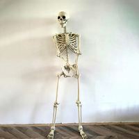 Ornement de squelette d'Halloween crâne en plastique réaliste de 170cm pour maison hantée et KTV pour décorations de fête et simulateurs