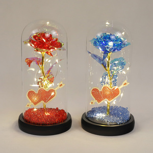 Nuovo Design luce rosa in cupola di vetro per san valentino matrimonio anniversario decorazione calda - Product Image 4