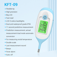 Vente en gros Thermomètre numérique à lecture rapide pour la maison Thermomètre numérique à conversion automatique à double mode
