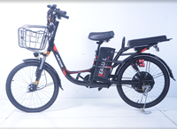 Vélo Électrique Urbain Double Siège pour Adultes de Haute Qualité – Vélo de Banlieue Électrique – Offre Spéciale