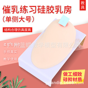 Sein artificiel en silicone souple de grande taille pour la formation des conseillères en lactation, les écoles professionnelles de services domestiques, les hôpitaux - Product Image 1