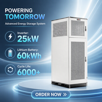 Yenilenebilir Güneş Enerjisi Depolama Sistemi BESS 25kW Hibrit İnvertör ve 60kWh LifePo4 Pil Hepsi Bir Arada Sistem