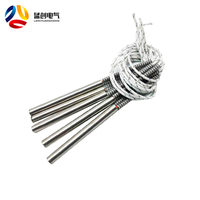 Résistance industrielle tube cartouche chauffante 110v 250w pour allumeur de poêle à granulés