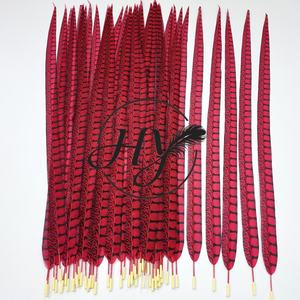 Plumes artificielles de faisan Amherst de 100 cm en gros pour sacs à dos de carnaval, samba et décorations de costumes de festival - Product Image 3