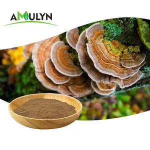 Polysaccharide Wholesale Bulk Turkey Tail Extract Coriolus Versicolor Extract Yunzhi Polysaccharide