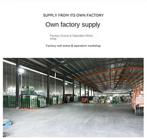 Césped <span class=keywords><strong>Artificial</strong></span> para Deportes, Alfombra de Césped Sintético para Gimnasio - Product Image 6