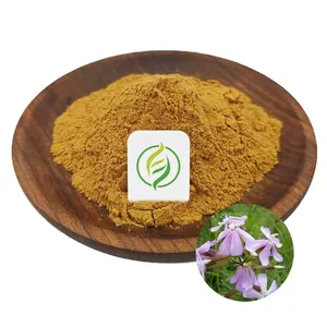 Venta al por mayor Extracto de planta Saponaria Officinalis Soapwort Extracto en polvo Soapwort Powder