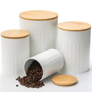 Set of 4 Metal Canisters Set with Bamboo Lids canister