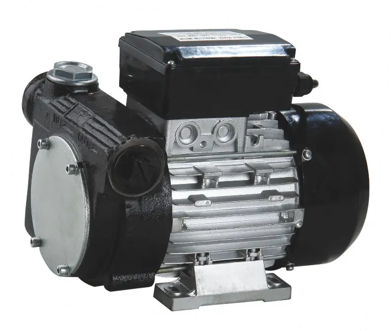 High Efficiency DYB-80 Electric Diesel Fuel Transfer Pump 80L/Min Double Dispenser 550W 220V OEM Supported Oil Transfer Pump