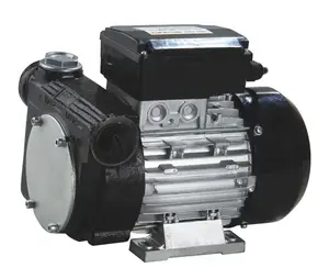 고효율 DYB-80 전기 디젤 연료 이송 펌프 80L/분 이중 디스펜서 550W 220V OEM 지원 오일 이송 펌프