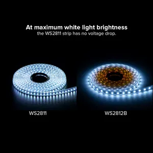 New Products 2835 Smd Project Decoration Programmable Chasing LED Strip DC24V WS2811