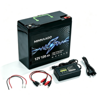 Paket Baterai Lithium OEM 12V 120Ah 100Ah 60ah 50ah 30ah Dengan Port USB BMS untuk Penyemprot Kendaraan Listrik Penyimpanan Tenaga Surya Berkemah