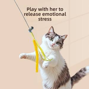 Jouet pour chat en polyester extra long et écologique Bite-Scratch Cross-Border Self-Entertainment Teaser Wand Indoor Classic - Product Image 2