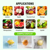 Machine d'emballage verticale multifonctionnelle et durable pour fruits sous film plastique, scellage automatique pour aliments (citron, fruit de la passion, pomme)