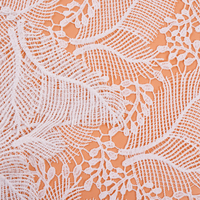 Tissu blanc brodé d'oeillets en mousseline de soie suisse Vêtements pour femmes Tissus en tulle brodé de fleurs Tissu en dentelle de luxe