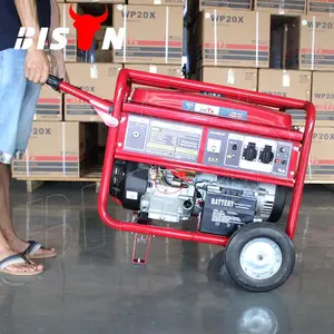 Bison 220V 50Hz Generador Potencia 7500 Watt 7Kw 7000W Generador de gas de doble combustible 230V