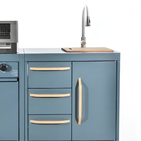 Barbecue au gaz commercial gris à 6 brûleurs, cuisinière d'extérieur avec armoire latérale et système de grillades roulantes