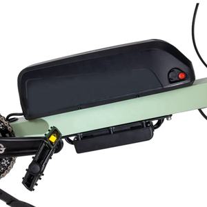 Nouvelle <span class=keywords><strong>remorque</strong></span> de vélo cargo, style moderne, roues de 26'' et 20'', cadre en acier, 7 vitesses, chaîne KMC Z7, vélos cargo, Chine - Product Image 3