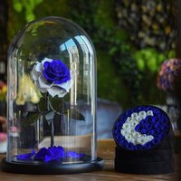 Groothandel Ge conserveerde Bloemen Glazen Koepel Romantische Eeuwige Bloemarrangement Valentijnsdag Cadeau Huis Tafeldecoratie