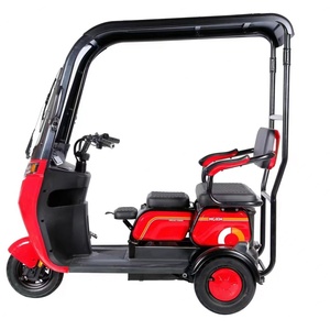 ราคาโรงงาน รถสามล้อไฟฟ้า 500 วัตต์ สำหรับผู้โดยสาร 3 ล้อ พร้อมหลังคา ได้รับการรับรองมาตรฐาน EEC - Product Image 5