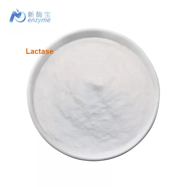 Bột Enzyme Lactase Enzyme Chất Lượng Cao Hàng Loạt