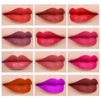 Rouge à lèvres hydratant longue durée, liquide, hydratant, mat, hydratant, sans Logo, 12 pièces, meilleure vente, original