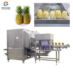 Machine industrielle automatique pour l'épluchage et le nettoyage des ananas, modèle X5 - Product Image 1