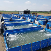Sistema de Tanque de Agua para Acuicultura Keyubo 6*3*1.5m, Duradero, con Marco de Acero Galvanizado + Lona de PVC, Se Aceptan Pedidos OEM/ODM