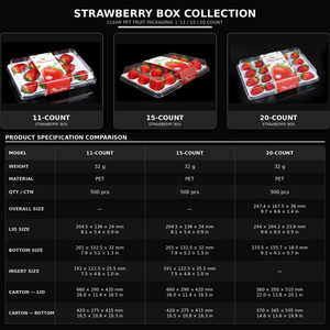 ถาดใส่สตรอว์เบอร์รี่ PET 11 ช่อง พร้อมฝาใส ภาชนะพลาสติกแบบใช้แล้วทิ้งสำหรับบรรจุผลไม้ เกรดอาหาร สำหรับซูเปอร์มาร์เก็ต - Product Image 5