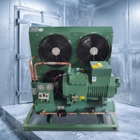 Unité de condensation à économie d'énergie au prix d'usine avec compresseur semi-hermétique