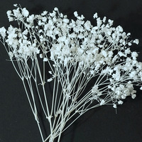 Bunga Kering White Dreamy Starry Babys Breath, Bunga Awet, Rangkaian Bunga, Dekorasi Pernikahan, Buket Pengantin