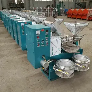 Commercial Peanut Sunflower Flaxseed Cold Press Oil Machine Stainless Steel Oil Press Machine With Oil Filter