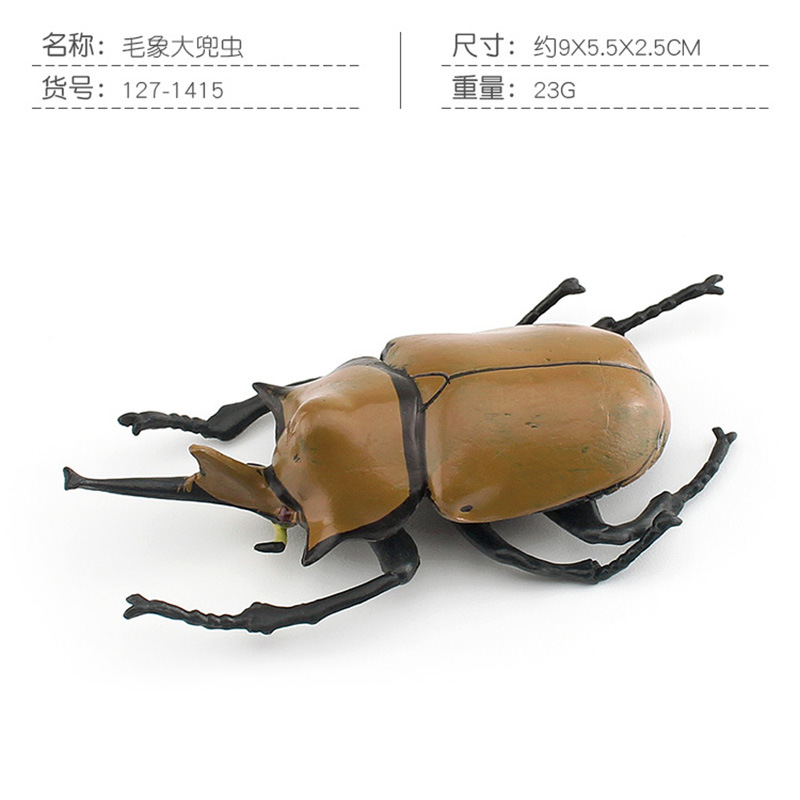 PL127-1415 Aristolochia hirsutum 23g