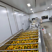 Mango-pulp productielijn, fruitsapmachine, mango-pulpmachine, mango-schilmachine