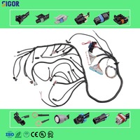 Fabricant de faisceaux de câblage automobile 12V en cuivre pur OEM/ODM, assemblage de câbles électriques de haute qualité pour véhicules