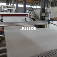 Máquina de Producción Personalizada Automática para Colchones Transpirables de Espuma WPC, Látex, EVA, PE, TPE/TPEE/POE con Motor Siemens JULIDE