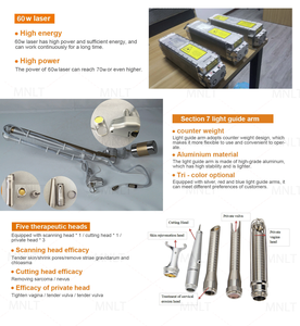 Chuyên Nghiệp Mặt Máy Phân Đoạn Âm Đạo Thắt Chặt Phần Đánh Dấu Fotona Cho Bút Sợi Đánh Dấu CO2 Laser - Product Image 5