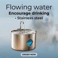 Fontaine à eau pour animaux de compagnie en acier inoxydable de 3,2 L, eau filtrée circulante, distributeur d'eau automatique pour animaux de compagnie, niveau d'eau visible pour animaux de compagnie