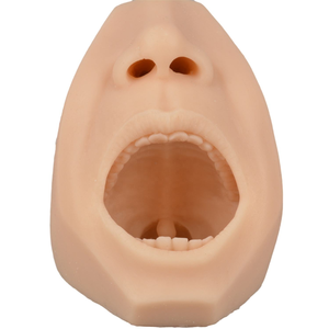 การฝึกปฏิบัติทางวิทยาศาสตร์การแพทย์ การพยาบาล การตรวจวินิจฉัยแอนติเจนในโพรงจมูกและโพรงปาก  แบบจำลองการใส่ไม้พันสำลีตรวจทางปาก - Product Image 3