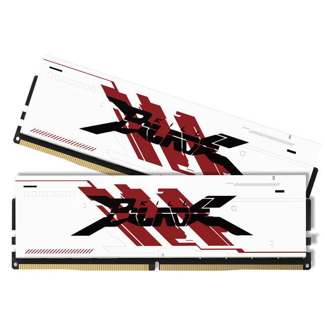 PUSKILL RGB DDR4 8GB/16GB/32GB 3200MHz/3600MHz Gaming Desktop Memory RAM