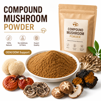 Extrait de Champignons Composés LongBio – Mélange de Poudres Multi-Champignons (Reishi, Crinière de Lion, Chaga, Shiitake, Maitake) pour Boissons – OEM ODM