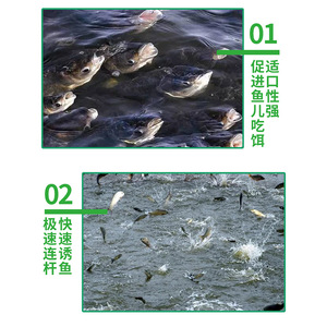 Cebo para Carpa Crucian Lianhuanji 5g, Cebo para Pesca en Río, Fórmula para Carpa Plateada y Carpa Cabeza Grande - Product Image 2