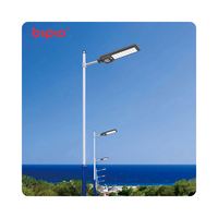 Lampadaire Solaire LED Extérieur Étanche Tout-en-un 100W avec Capteur et Télécommande pour Éclairage Public