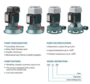 Pompe à eau centrifuge portable GRANDFAR 220V 750W 1 CV à carter en fonte, vertical, débit élevé 19m GVSm750, petite pompe centrifuge - Product Image 5