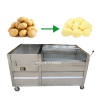 Machine industrielle de lavage et de pelage du gingembre, éplucheuse de pommes de terre, patate douce, igname, taro, carotte, tubercules, laveuse et éplucheuse de plantes, moteur à eau