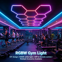 Lampe LED Nid d'Abeille RGBW, Lumière de Gym Hexagonale, Installation Facile et Démontable pour Vélo de Spinning, Studio de Fitness, Salle de Sport