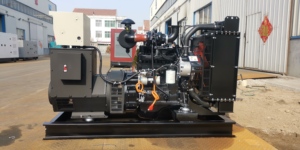 Générateur 40kW / 50kVA / 220V à prix d'usine, générateur 40kW / 50kVA à vendre - Product Image 5