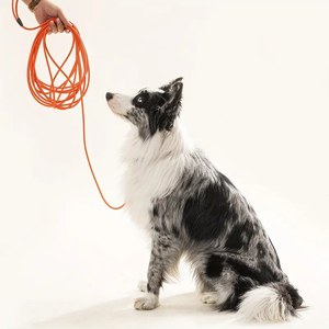 Produk penjualan terbaik 2024 warna-warni polyester kalung anjing tren tali tali perangkat keras mewah tali kulit leashlockvbiothane anjing - Product Image 4